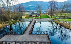 Vital Göl Sapanca Özel Havuzlu Bungalov&Villa